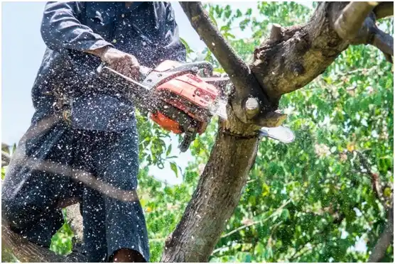 tree services Checotah